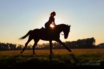 Horseback ride