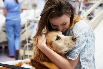 Dog visits young woman