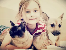 Child hugging a cat and a dog