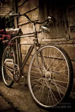Old bike