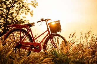 Bicycle at sunset