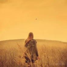 Young woman in the meadow