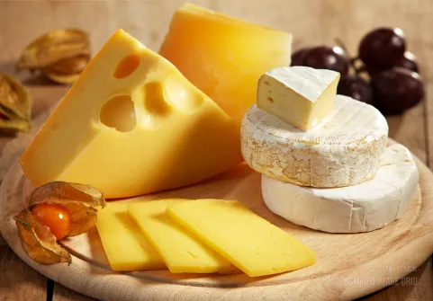 Various types of cheese