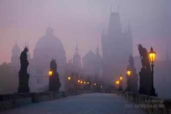Charles bridge at dawn