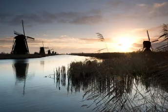 Dutch countryside