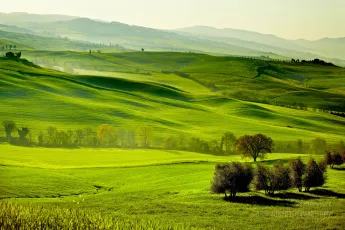 Green countryside