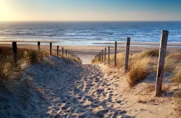Path to North sea beach