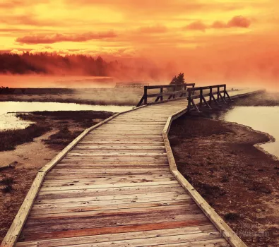 Wooden road into the mist