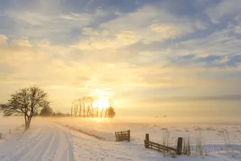 Beautiful winter landscape