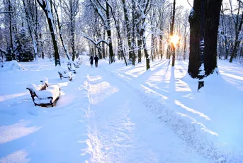 People walking in the beautiful winter park