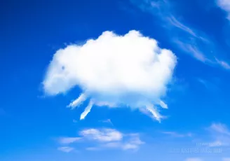 Sheep cloud