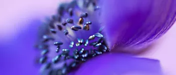 Preset 12: Author's other favorite