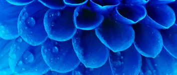 Preset 2: Author's favorite