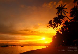 Sandy beach with palm trees at sunset