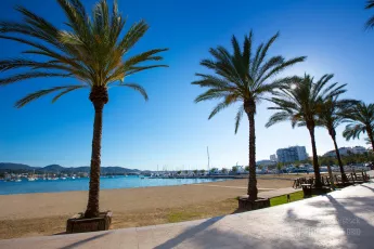 Balearic beach with palm trees
