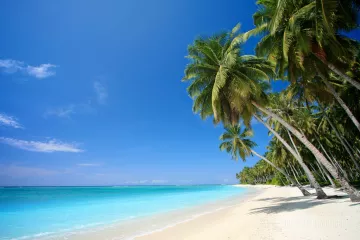 Tranquil island beach