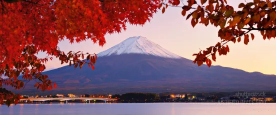 Mt. Fuji