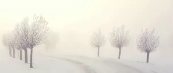 Preset 6: Artistic-zen