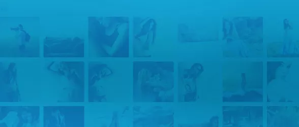 WordPress Media Library