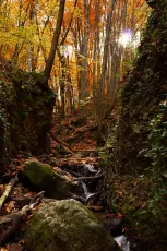 5170507958_392ab5991b_b