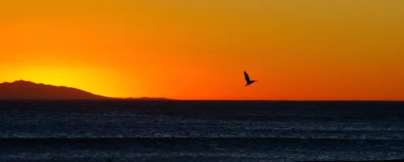 Huntington Beach, California