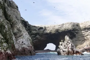 Islas Ballestas Paracas Peru
