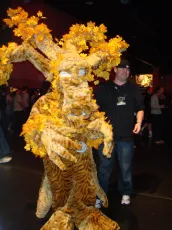 Blizzcon 2010