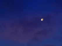 Moon at dawn