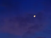 Moon at dawn