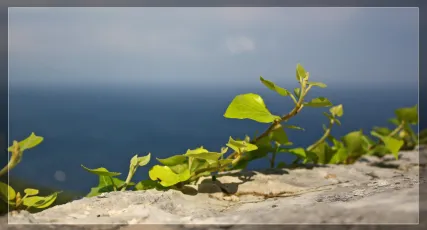 Tonight will be fine