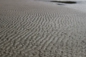 Sand art, painted by the tide