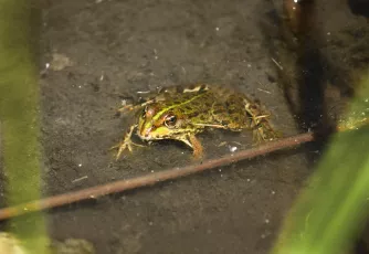 Hey, is it me you're starin' at?