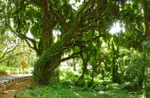 panorama_20140323_0001