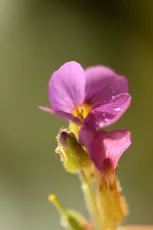 OH SUMMER WHERE ART THOU?