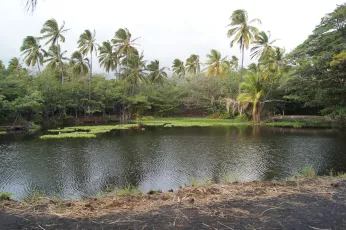 Tropical Lagoon