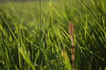 It's been a while since last year...