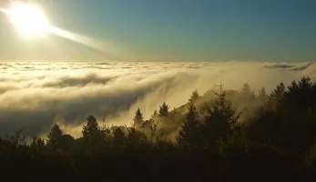 Above the Clouds