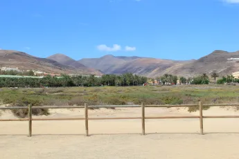 Salt Marsh and Volcanic Backdrop