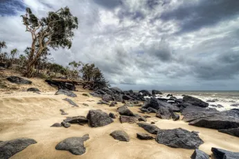Wild Coast