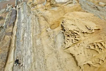 Pebble Beach tafoni sandstone and turbidites