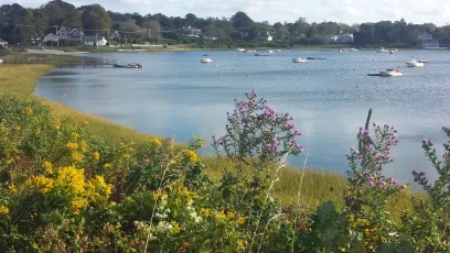 Chatham as the kids again go back to school and the final season before Covid-19 begins