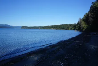 Cove