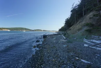 And Looking Back South