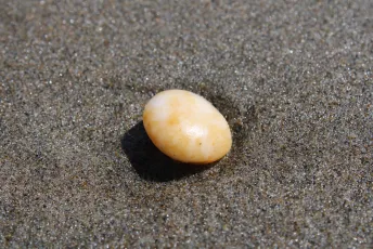 One small piece of beach treasure