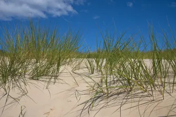 Norderney