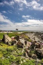 17 Mile Drive (05-23)-1
