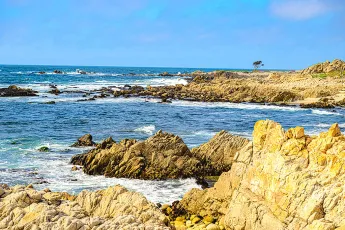 17 Mile Drive (05-23)-2