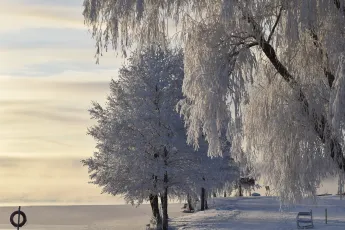 Valkea valo White light