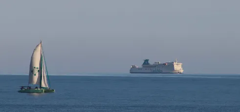 Which is Your Choice?