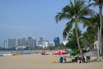 DSC_6324: Sunny day on the city beach - palm trees, colorful umbrellas and skyline views along the shoreline.